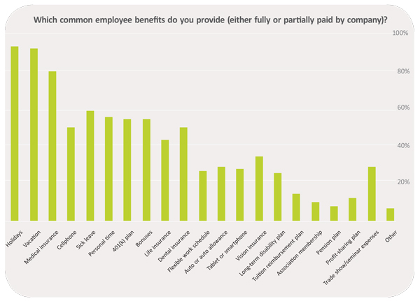 Which common employee benefits do you provide (either fully or partially paid by company)