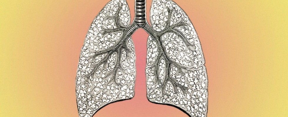 COPD Care: Basics to Partnerships
