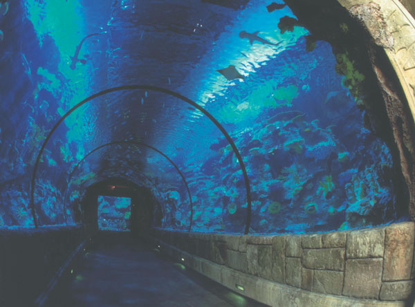 Mandalay Bay's Shark Reef Aquarium. Courtesy of MGM Resorts International.