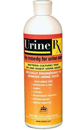 “urine