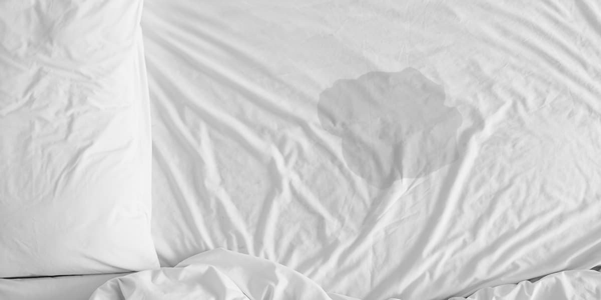 incontinence bed image