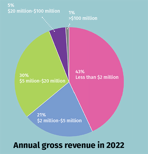 Annual gross revenue in 2022 pie chart