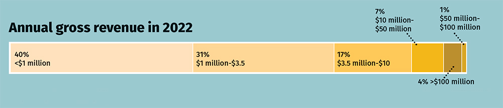 Annual gross revenue in 2022