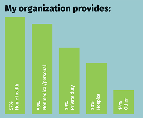 My organization provides: graph