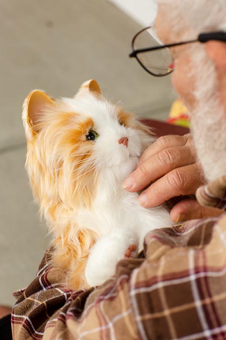 companion pet