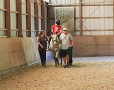 Equine Therapy as a Respite Care Resource