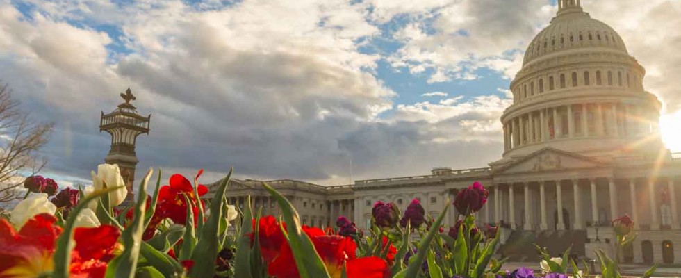 Capitol Building in Spring