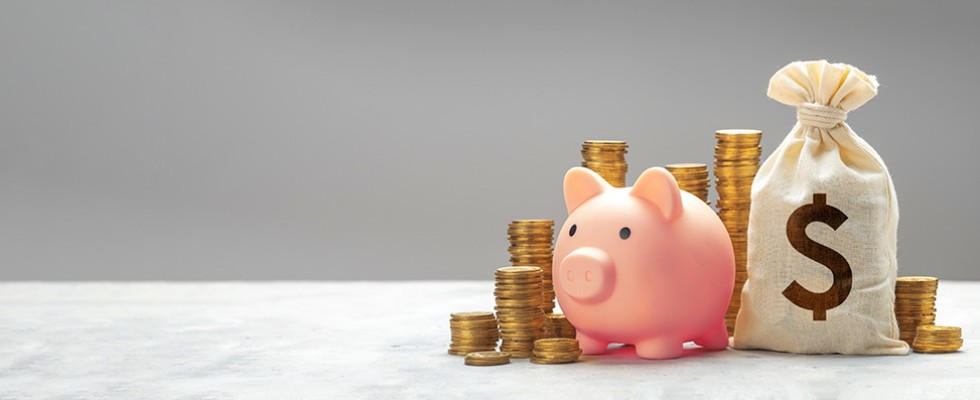 pink piggy bank standing with a money bag and stacks of coins