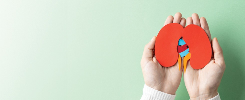 A green background with two hands holding a paper cutout of kidneys