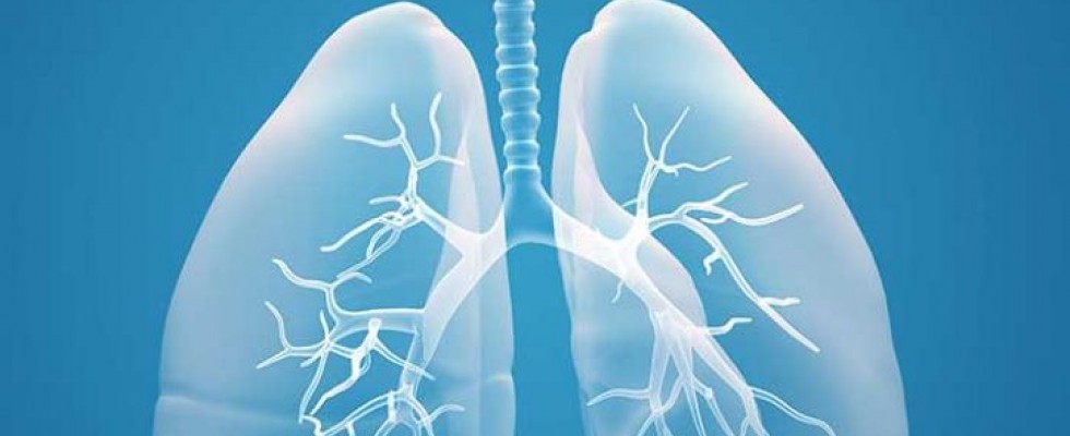 Understanding Patient Adherence in Chronic Respiratory Disease