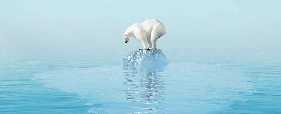 A polar bear standing on a small block of ice surrounded by water