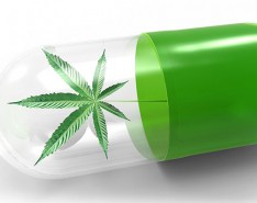 CBD for Pain Relief