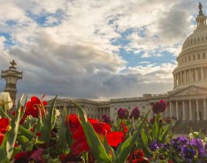 Capitol Building in Spring