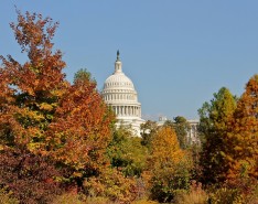 Direct CARE Opportunity Act - DC in the Fall - Picture by Max Pixel
