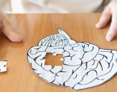 brain puzzle