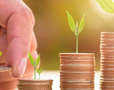 handa picking up a penny with a plant growing out of it next to increasing stacks of pennies with more mature plants