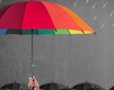 7 Types of Insurance to Protect Your Business