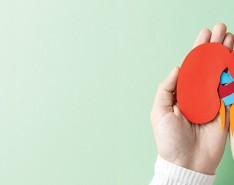 A green background with two hands holding a paper cutout of kidneys