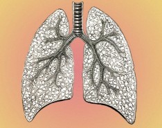COPD Care: Basics to Partnerships