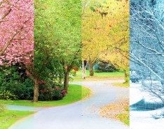 through the seasons