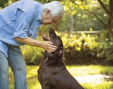 In Brief — Pets and Seniors