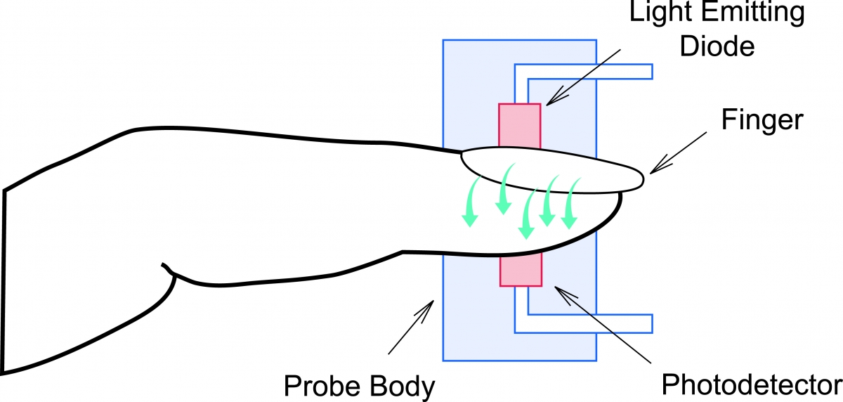 How Pulse Oximetry Works